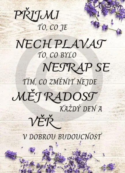 Dřevěný obrázek - Přijmi to, co je