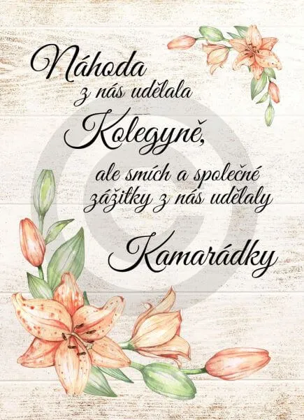 Dárek pro kolegyni a kamarádku