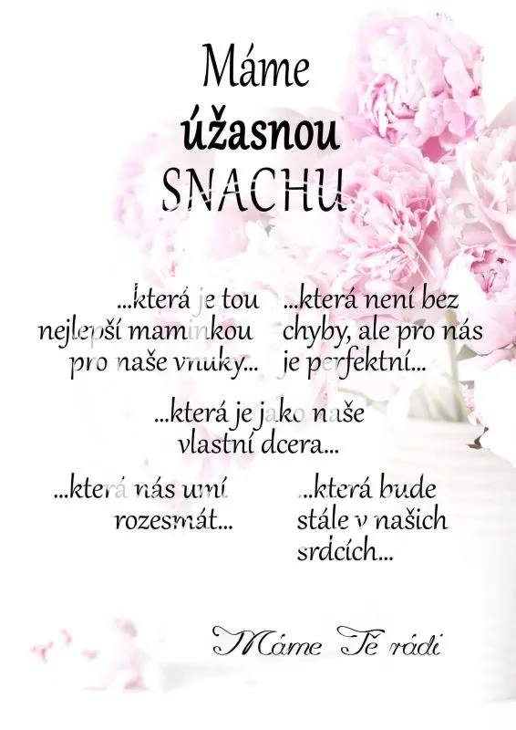 Dárek pro snachu