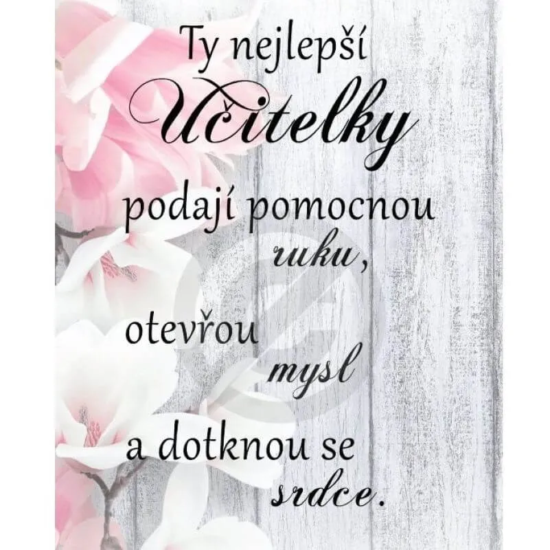 Ty nejlepší učitelky ...