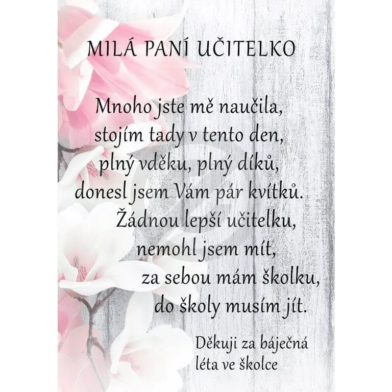 Dárek pro paní učitelku, věnování od chlapce