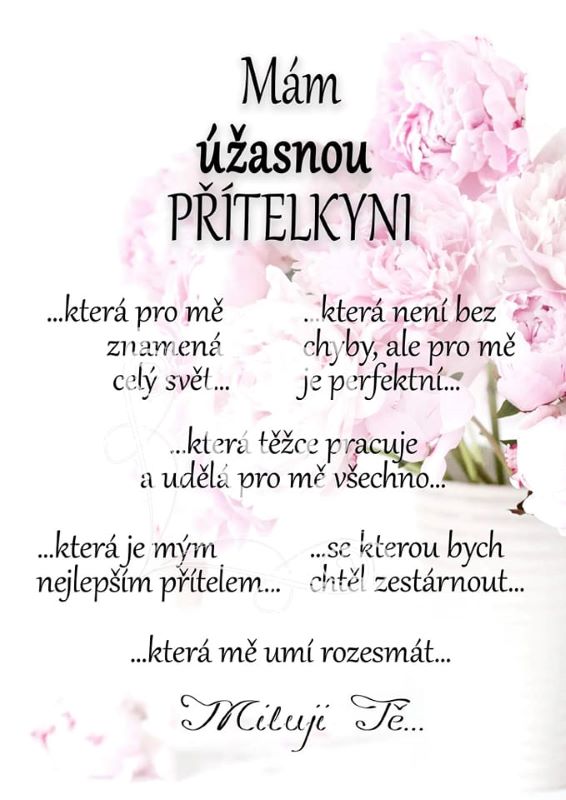 Dřevěná cedule - Mám úžasnou přítelkyni