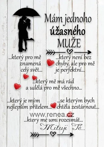 Dřevěný obrázek - Mám úžasného muže