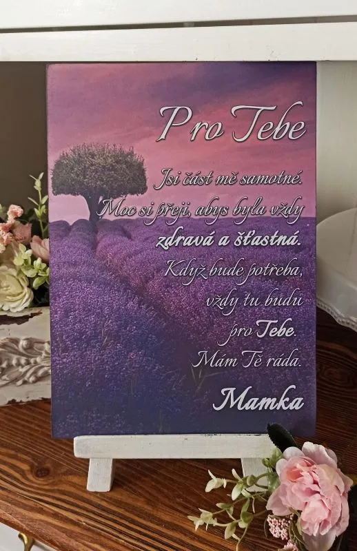 Pro dceru - dřevěný obrázek, ruční práce