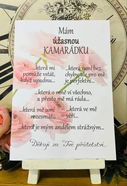 Pro kamarádku - dřevěný obrázek, ruční práce