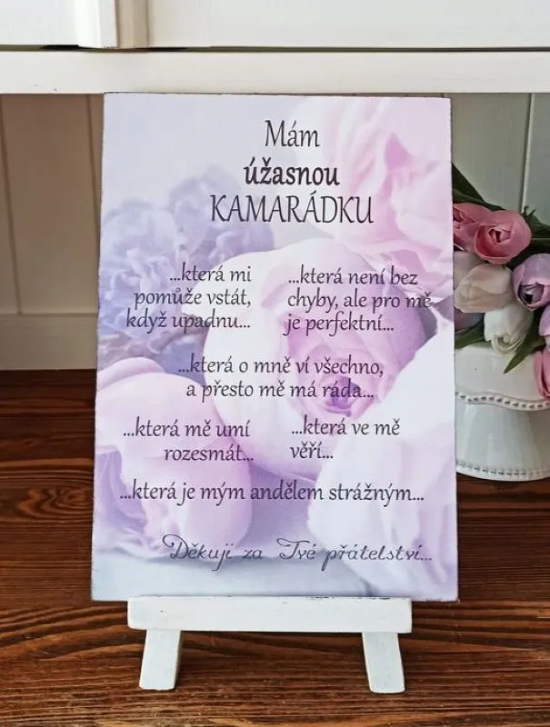 Pro kamarádku - dřevěný obrázek, ruční práce