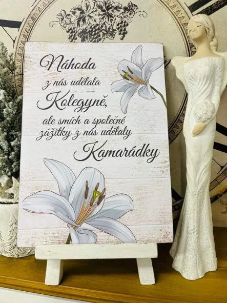 Dárek pro kolegyni a kamarádku