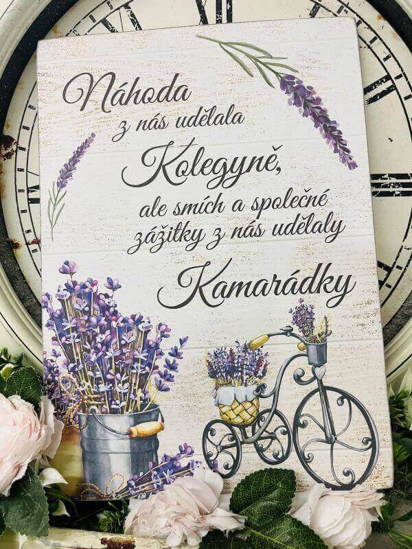 Dřevěný obrázek s textem pro kolegyni/kamarádku