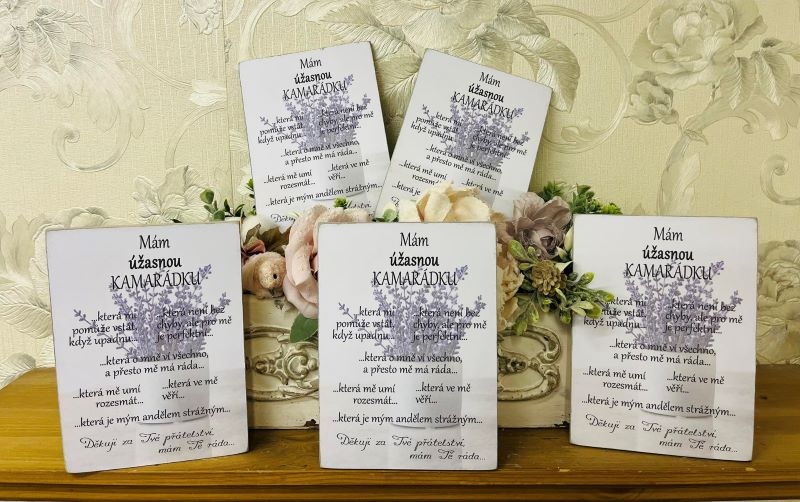 Pro kamarádku - dřevěný obrázek, ruční práce