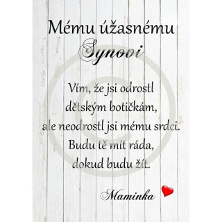 Mému úžasnému synovi