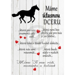 Máme úžasnou dceru - motiv koně