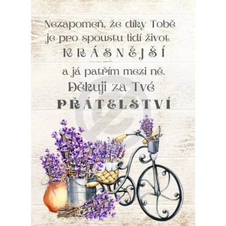 Poděkování za přátelství - kolo a levandule