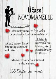 Dřevěný obrázek - Úžasní novomanželé