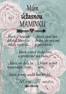 Dárek pro maminku - dřevěný obrázek