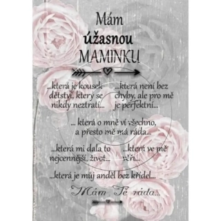 Dárek pro maminku - Mám úžasnou maminku ... šedý