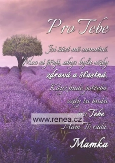 Pro dceru - dřevěný obrázek, ruční práce