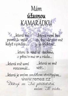 Pro kamarádku - dřevěný obrázek, ruční práce