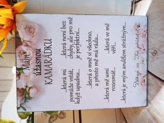 Pro kamarádku - dřevěný obrázek, ruční práce