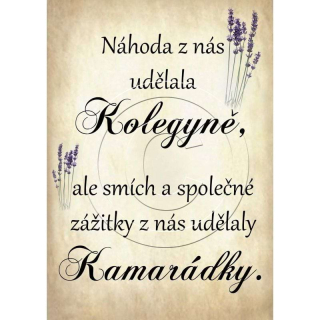 Dárek pro kolegyni - motiv levandule