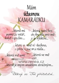 Pro kamarádku - dřevěný obrázek, ruční práce