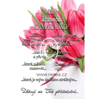 Pro kamarádku - dřevěný obrázek, ruční práce