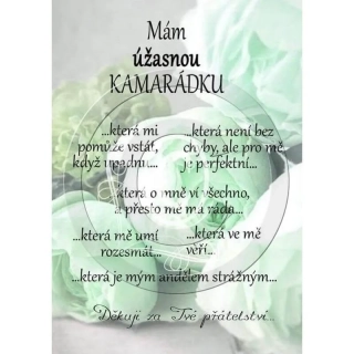 Pro kamarádku - dřevěný obrázek, ruční práce