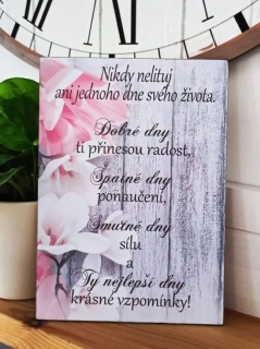 Nikdy nelituj.... dřevěný obrázek