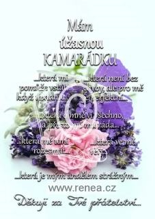 Pro kamarádku - dřevěný obrázek, ruční práce