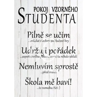 Pro studenta - dřevěný obrázek, ruční práce