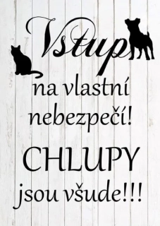 Vstup na vlastní nebezpečí (kočka-pes) - dřevěný obrázek, ruční práce