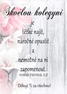 Poděkování kolegyni - dřevěný obrázek