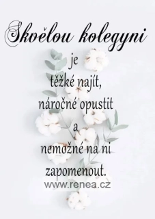 Dárek pro kolegyni na rozloučenou