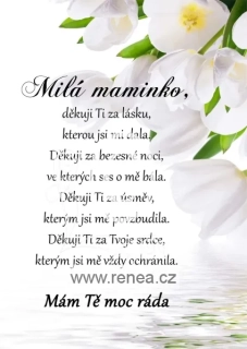 Dárek pro maminku - dřevěný obrázek