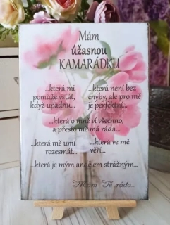 Mám úžasnou kamarádku