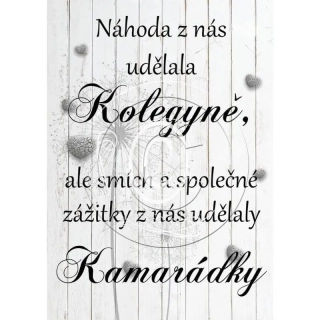 Dárek pro kolegyni - pampeliška