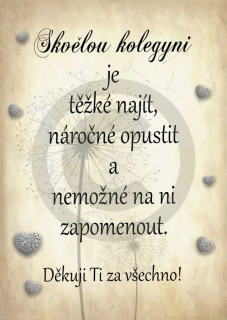 Dřevěný obrázek pro skvělou kolegyni