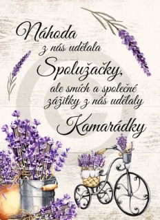 Dřevěný obrázek s textem - Náhoda ...