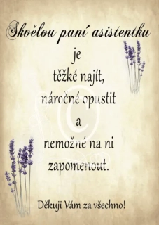 Dřevěná cedulka - Pro paní asistentku