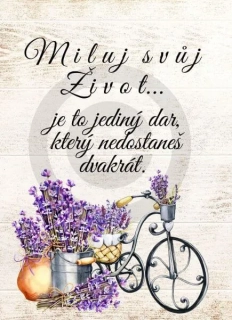 Dřevěný obrázek - Miluj svůj život