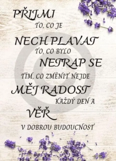 Dřevěný obrázek - Přijmi to, co je