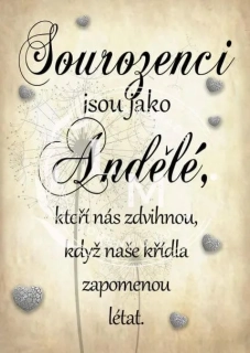 Dřevěná cedulka - Sourozenci jsou jako andělé