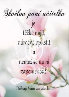 Dárek pro paní učitelku