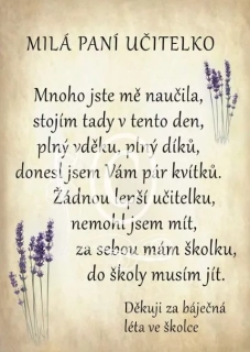 Dárek pro paní učitelku ve školce od chlapce