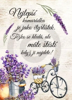 Dřevěný obrázek - Dárek pro nejlepší kamarádku