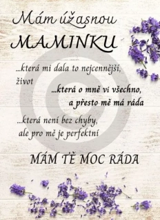 Dřevěný obrázek - Dárek pro maminku