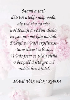 Dárek pro rodiče - dřevěný obrázek
