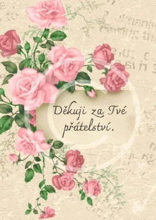 Dřevěný obrázek - poděkování za přátelství