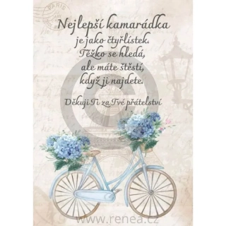 Dárek pro kamarádku - Vintage kolo s květinami