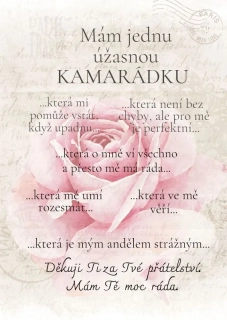 Dárek pro kamarádku