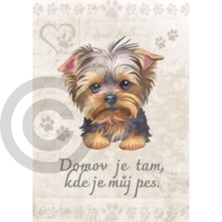 Dřevěná cedulka - motiv psa a text